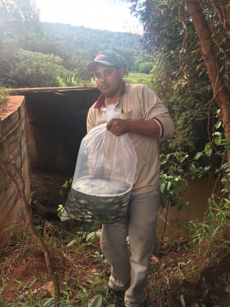 FAZENDA AGRO SÃO JORGE - SOLTURA DE PEIXES - ALTO PARAÍSO DE GOIÁS